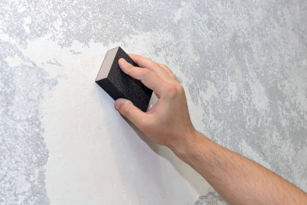 Best Mold Odor Removal Services  in Smithville, MO