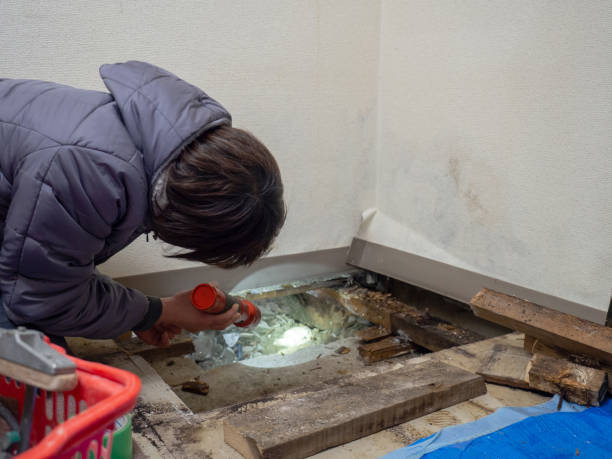 Best Biohazard Mold Removal  in Smithville, MO