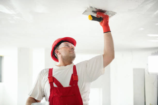 Best Post-Remediation Verification Testing  in Smithville, MO
