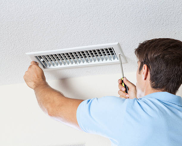 Best Basement Mold Removal  in Smithville, MO