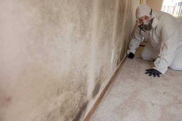 Best Industrial Mold Remediation  in Smithville, MO